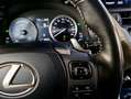Lexus NX 300 300h Weiß - thumbnail 15