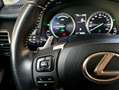Lexus NX 300 300h Weiß - thumbnail 13