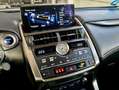 Lexus NX 300 300h Weiß - thumbnail 21