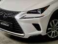 Lexus NX 300 300h Weiß - thumbnail 18