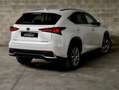 Lexus NX 300 300h Weiß - thumbnail 5