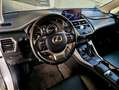 Lexus NX 300 300h Weiß - thumbnail 12
