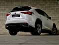 Lexus NX 300 300h Weiß - thumbnail 10