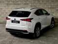 Lexus NX 300 300h Weiß - thumbnail 28