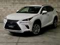 Lexus NX 300 300h Weiß - thumbnail 2
