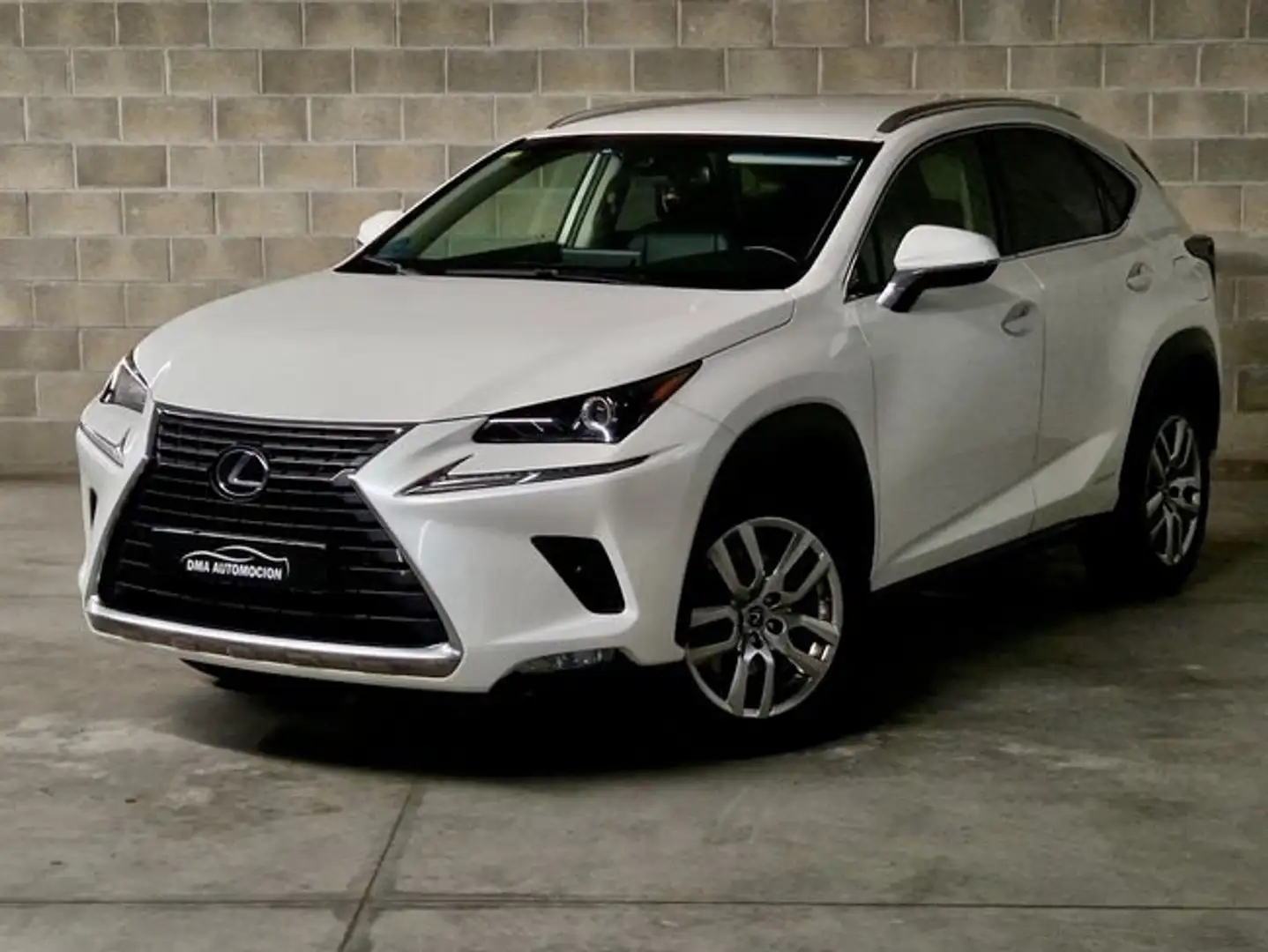 Lexus NX 300 300h Weiß - 2