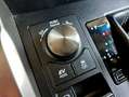 Lexus NX 300 300h Weiß - thumbnail 27