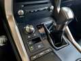 Lexus NX 300 300h Weiß - thumbnail 26
