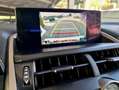Lexus NX 300 300h Weiß - thumbnail 23