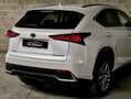 Lexus NX 300 300h Weiß - thumbnail 29