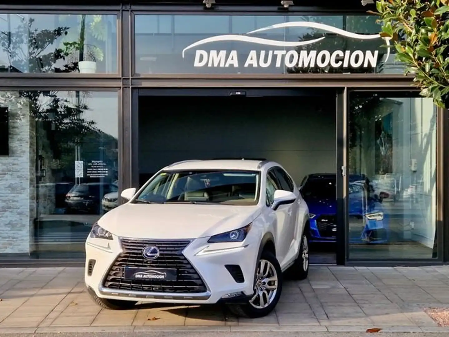 Lexus NX 300 300h Weiß - 1
