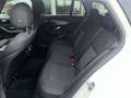 Mercedes-Benz C 180 d T 9G-TRONIC AHK/LED/CAR-PLAY Weiß - thumbnail 10