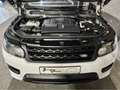 Land Rover Range Rover Sport 5.0 V8 SUPERCHARGED AUTOBIOGRAPHY MERIDIAN HEAD UP Blanco - thumbnail 16