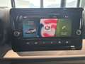 SEAT Ibiza FR Edition 1.0 TSI Grau - thumbnail 14