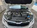 Skoda Kamiq 1.0 tsi Style 95cv, NEOPATENTATI OK! Wit - thumbnail 18