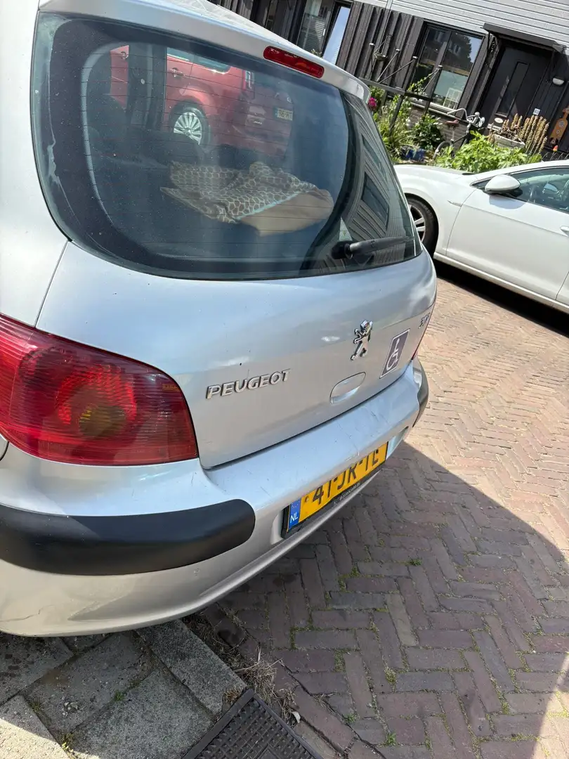 Peugeot 307 1.6-16V XT Gris - 2