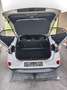 Ford Puma 1,0 EcoBoost Titanium Weiß - thumbnail 9