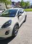 Ford Puma 1,0 EcoBoost Titanium Weiß - thumbnail 4