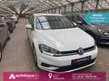 Volkswagen Golf VII 1.6 TDI  Trendline|Navi|Klima|Sitzhzg Blanc - thumbnail 1
