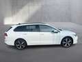 Volkswagen Golf Variant Business mHeV DSG Weiß - thumbnail 6