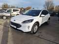 Ford Kuga 2.5FHEV/Titanium/Automaat/Navi/Camera/Cc/Bluetooth Blanc - thumbnail 7