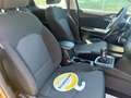 Kia Ceed / cee'd Ceed Edition 7*KLIMA*1,4 99PS* Rot - thumbnail 19