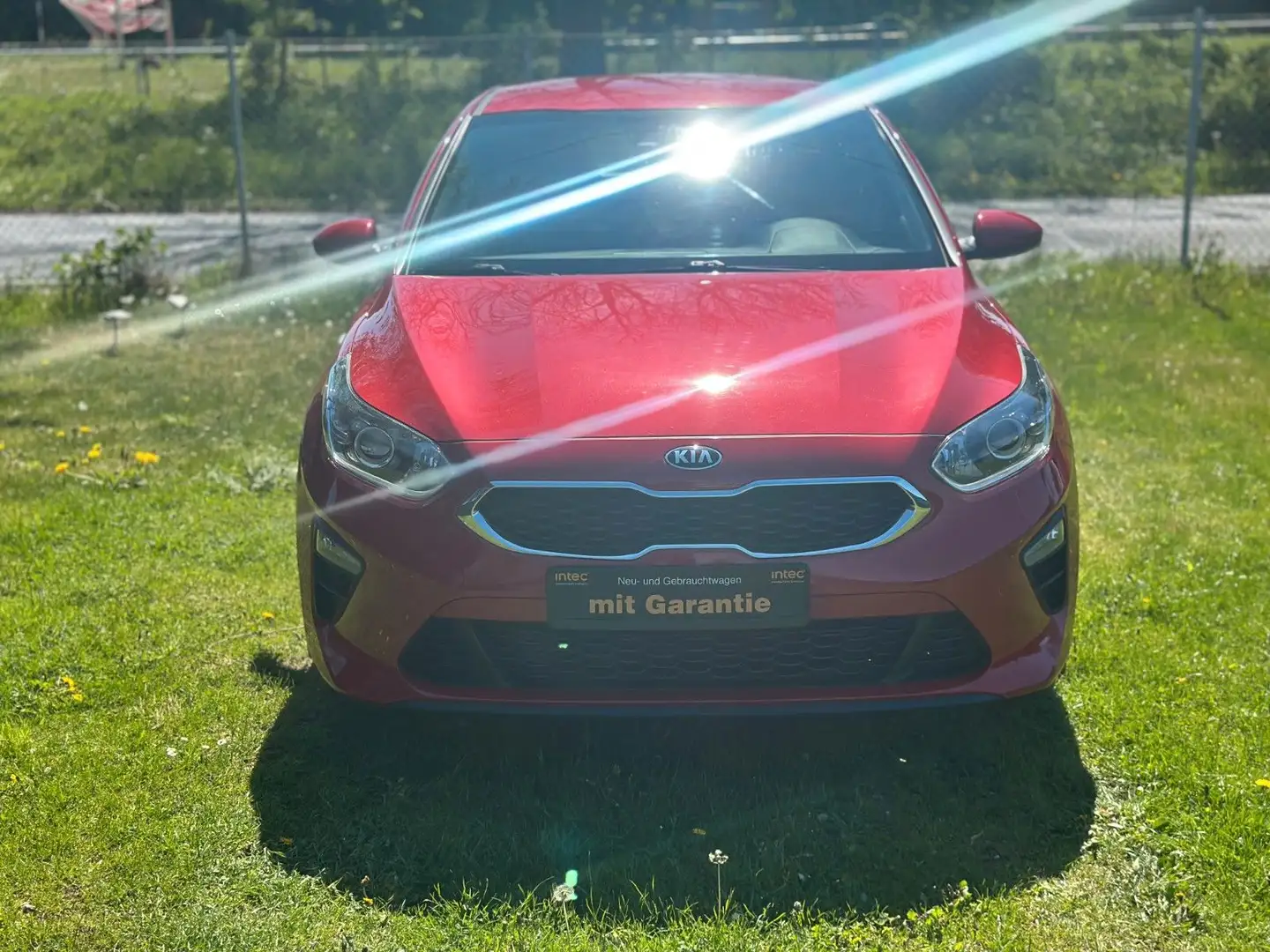 Kia Ceed / cee'd Ceed Edition 7*KLIMA*1,4 99PS* Rouge - 2