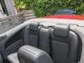 Ford Focus 2.0 - 145 Ghia A - thumbnail 8