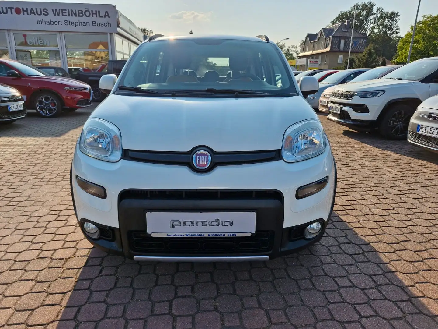 Fiat Panda Rock 4x4 Sitzhzg-Klima Weiß - 2