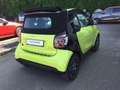 smart forTwo EQ Cabrio Prime Exclusive 22kW Kamera LED Green - thumbnail 11