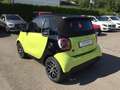 smart forTwo EQ Cabrio Prime Exclusive 22kW Kamera LED Green - thumbnail 10