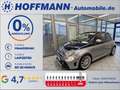 Abarth 695 Rivale Leder,Navi,App-Connect,SH,LED,PDC Grau - thumbnail 1