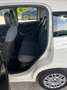 Fiat Panda Panda 1.2 Lounge 69cv Bianco - thumbnail 13