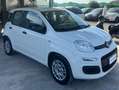 Fiat Panda Panda 1.2 Lounge 69cv Bianco - thumbnail 3