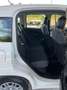 Fiat Panda Panda 1.2 Lounge 69cv Bianco - thumbnail 12