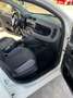 Fiat Panda Panda 1.2 Lounge 69cv Bianco - thumbnail 9