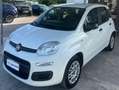 Fiat Panda Panda 1.2 Lounge 69cv Bianco - thumbnail 2