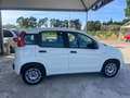 Fiat Panda Panda 1.2 Lounge 69cv Bianco - thumbnail 4