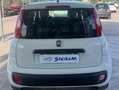 Fiat Panda Panda 1.2 Lounge 69cv Bianco - thumbnail 6