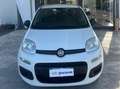 Fiat Panda Panda 1.2 Lounge 69cv Bianco - thumbnail 1