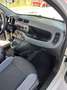 Fiat Panda Panda 1.2 Lounge 69cv Bianco - thumbnail 11