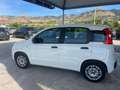 Fiat Panda Panda 1.2 Lounge 69cv Bianco - thumbnail 5