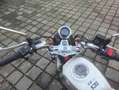 Honda Monkey 125 Monkey 125 Rood - thumbnail 6