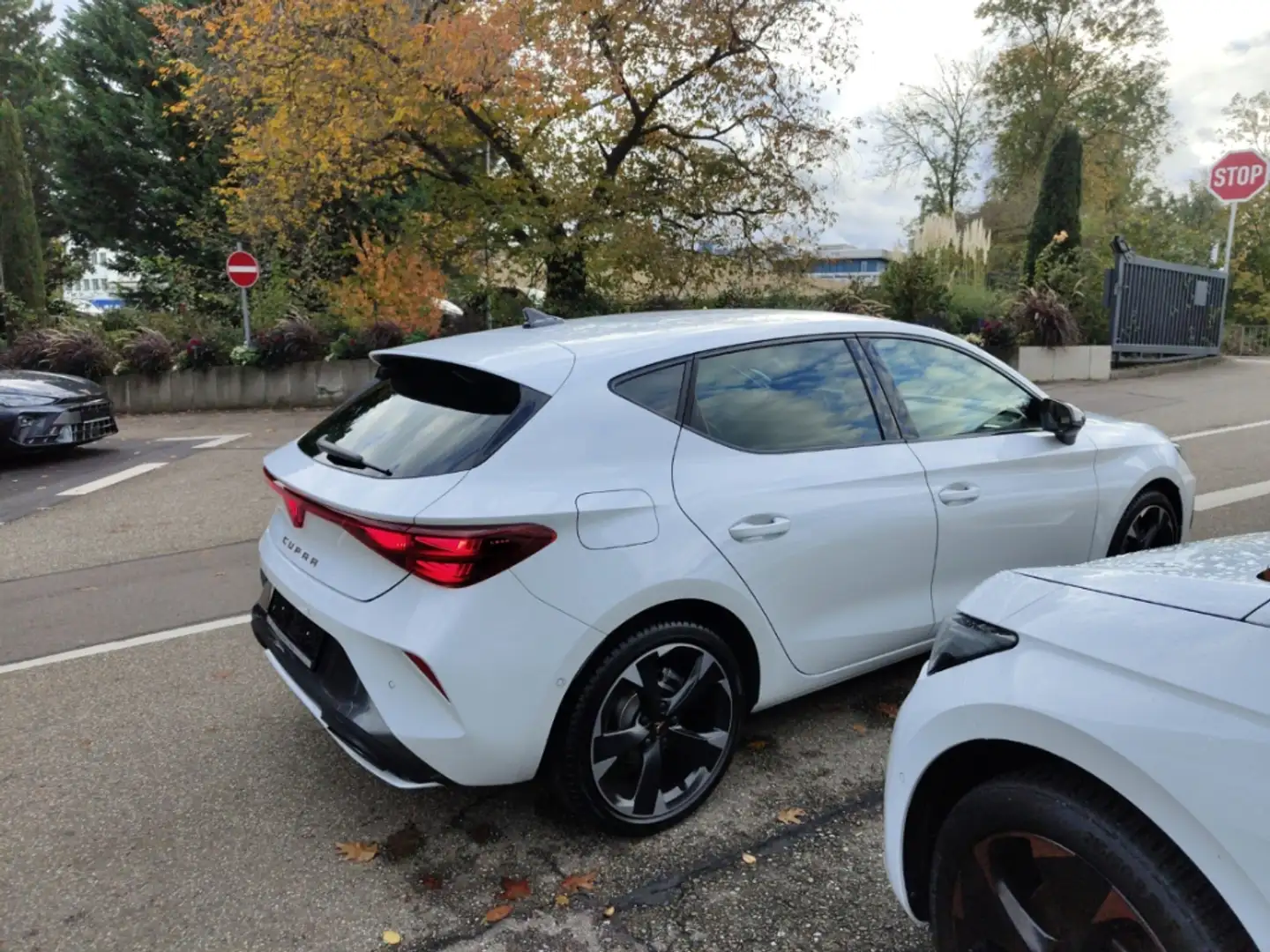 CUPRA Leon 1.5 eTSI Navi Digitales Cockpit LED Sperrdiff. ACC Weiß - 2