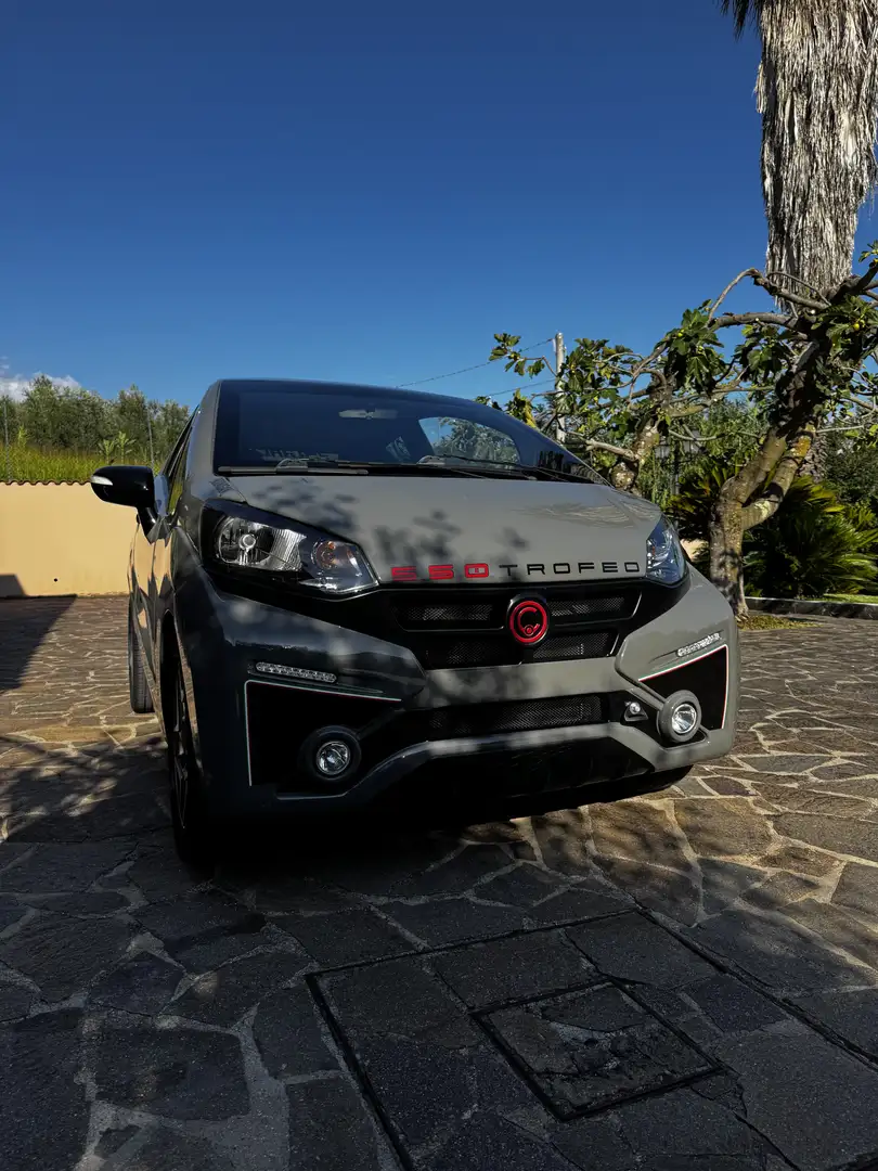 Casalini M20 550 TROFEO - 2