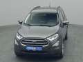 Ford EcoSport Cool&Connect 125PS/Winter-Paket/AHK Grijs - thumbnail 49