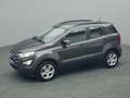 Ford EcoSport Cool&Connect 125PS/Winter-Paket/AHK Grijs - thumbnail 28