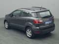 Ford EcoSport Cool&Connect 125PS/Winter-Paket/AHK Grijs - thumbnail 19