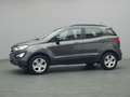 Ford EcoSport Cool&Connect 125PS/Winter-Paket/AHK Grijs - thumbnail 39