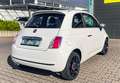 Fiat 500 1.2 8V Rock Star KLIMA TÜV PDC ZR gewechselt Bílá - thumbnail 4